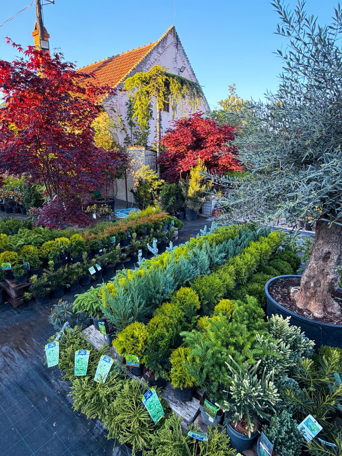 Garden Centrum Isabell Leto
